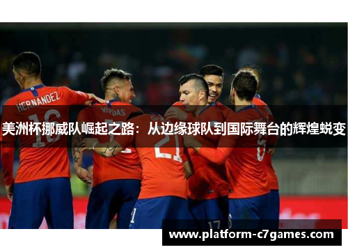 美洲杯挪威队崛起之路：从边缘球队到国际舞台的辉煌蜕变