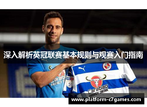 深入解析英冠联赛基本规则与观赛入门指南